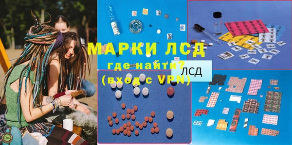 сатива Лабытнанги