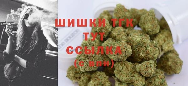 гидра Ладушкин