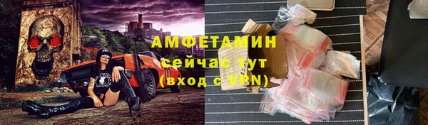 сатива Лабытнанги