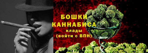 сатива Лабытнанги