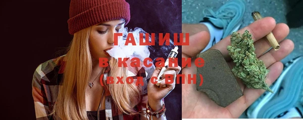 сатива Лабытнанги